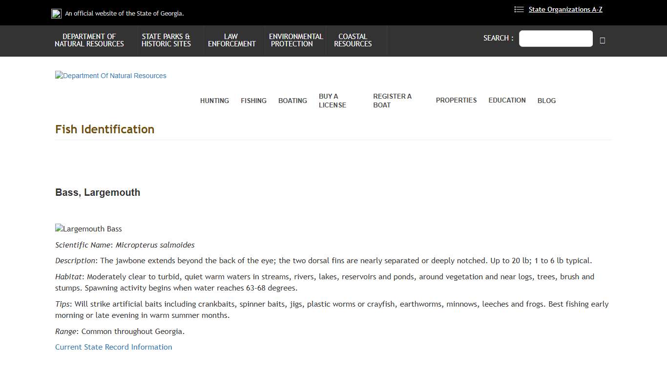 Fish Identification Department Of Natural Resources Division